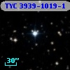 TYC 3939-1019-1