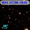 IRAS 17290-3835