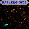 IRAS 17290-3620