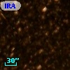 IRAS 17307-3653