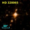 HD 320065