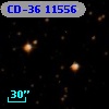 CD-36 11556