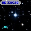 HD 239290