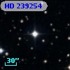 HD 239254