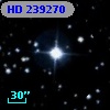 HD 239270