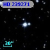 HD 239271