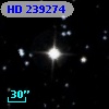 HD 239274