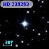 HD 239283