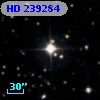 HD 239284