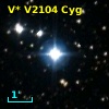 V* V2104 Cyg