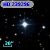 HD 239296