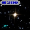 HD 239309