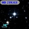 HD 239313