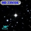 HD 239316