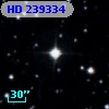 HD 239334