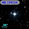 HD 239234