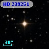 HD 239251