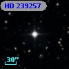HD 239257