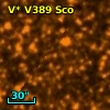 V* V389 Sco