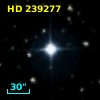 HD 239277