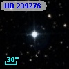 HD 239278