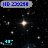 HD 239280