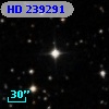 HD 239291