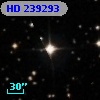 HD 239293