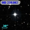 HD 239302
