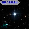 HD 239314