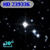 HD 239336