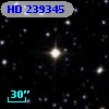 HD 239345