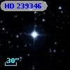 HD 239346
