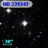 HD 239347