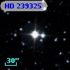 HD 239325
