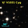 V* V1031 Cyg