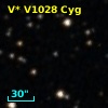 V* V1028 Cyg