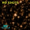 HD 324275