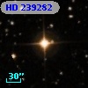 HD 239282