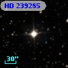 HD 239285