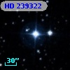 HD 239322