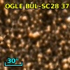 OGLE BUL-SC28  37189