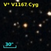 V* V1167 Cyg