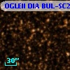 OGLEII DIA BUL-SC28    105