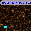OGLEII DIA BUL-SC28    139