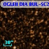 OGLEII DIA BUL-SC28    195