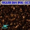 OGLEII DIA BUL-SC28    225