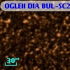 OGLEII DIA BUL-SC28    606