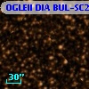 OGLEII DIA BUL-SC29    236
