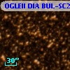 OGLEII DIA BUL-SC29    967